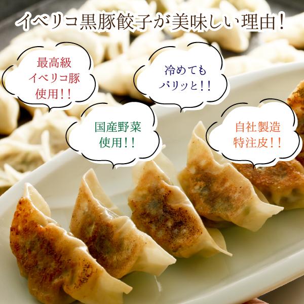 スペイン産特選イベリコ黒豚 ステーキ餃子 送料無料 お取り寄せグルメ 12人前