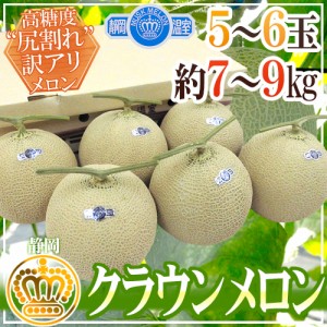 静岡産 高糖度尻割れ ”クラウンメロン” 訳あり 5～6玉 約7～9kg 送料無料