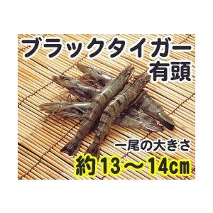 ブラックタイガーエビ 有頭 60尾 1.3kg 輸入 60匹 魚介類 海鮮 ブラックタイガー海老 えび BBQに 大容量 まとめ買い 業務用 [冷凍食品]