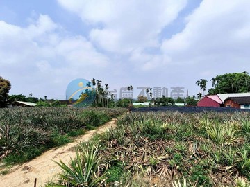 南投名間東仁段2分完全平坦旺財農地｜南投縣名間鄉東仁段