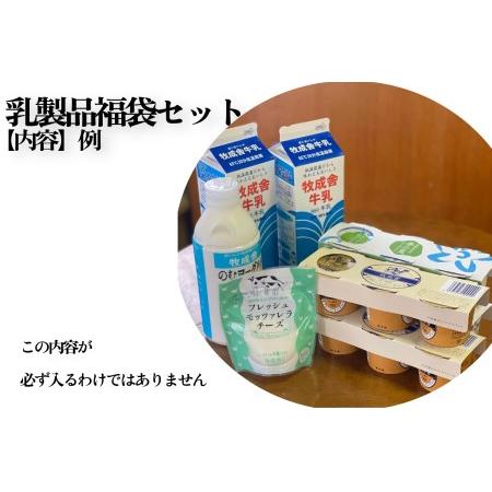 ふるさと納税 乳製品 訳あり 福袋 ヨーグルト 牛乳 種類おまかせ  訳あり 詰合せ 牧成舎 TR3754 岐阜県高山市