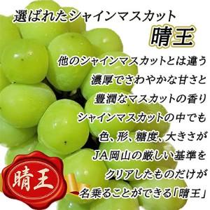 ふるさと納税 ぶどう 2024年 先行予約 岡山 名産  晴王 シャイン マスカット たっぷり2kg！9月上旬以降順次発送 ギフトにも ブドウ 葡萄  岡山県.. 岡山県里庄町