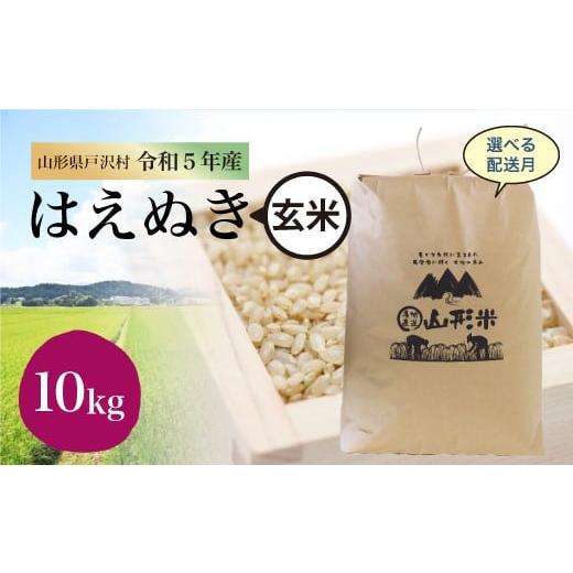 令和5年産 山形県戸沢村 厳選 はえぬき  10?（10kg×1袋） ＜配送時期指定可＞