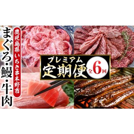 ふるさと納税 ＜6ヶ月定期便＞いちき串木野プレミアム定期便（マグロ・鰻・牛肉） 鹿児島県いちき串木野市