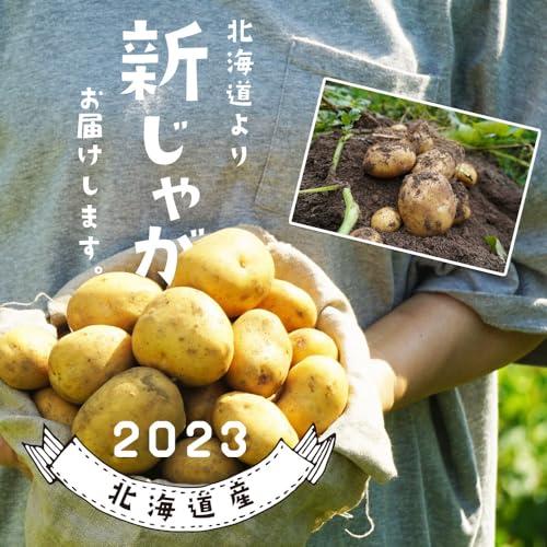 ギフト インカのめざめ [新じゃがいも(食用)] 北海道産 S M LM L 2L混 (5kg)