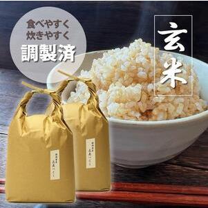 ふるさと納税 福岡県産評価のお米「元気つくし」5kg×2袋 10kg [玄米] 福岡県大川市