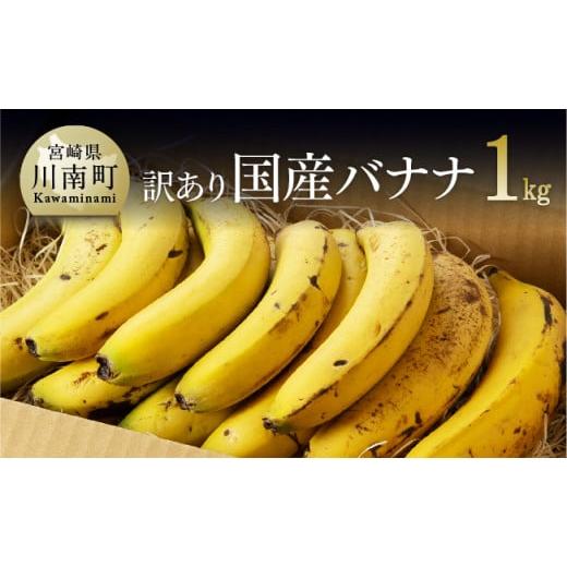 ふるさと納税 宮崎県 川南町 国産バナナ１ｋｇ（10本〜13本程度）