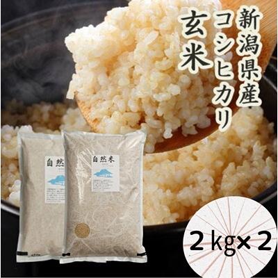 ふるさと納税 阿賀野市 「米屋のこだわり阿賀野市産」GOZU自然米　玄米2kg×2袋