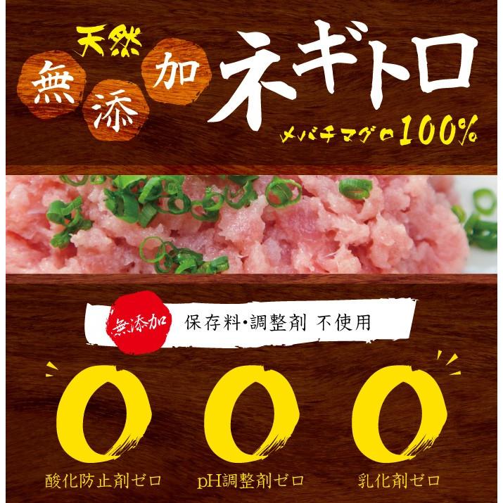 ネギトロ 100g 無添加 天然 マグロ 粗挽き 刺身 お取り寄せ グルメ ギフト まぐろ 鮪