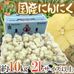 青森県 ”国産にんにく” 約10kg 等級A B 2Lサイズ以上 送料無料