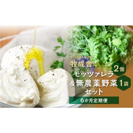 ふるさと納税 飛騨の新鮮モッツァレラ＆フレッシュ野菜 セット 6回お届け モッツァレラチーズ 6回 半年 チーズ ミックスリー.. 岐阜県高山市