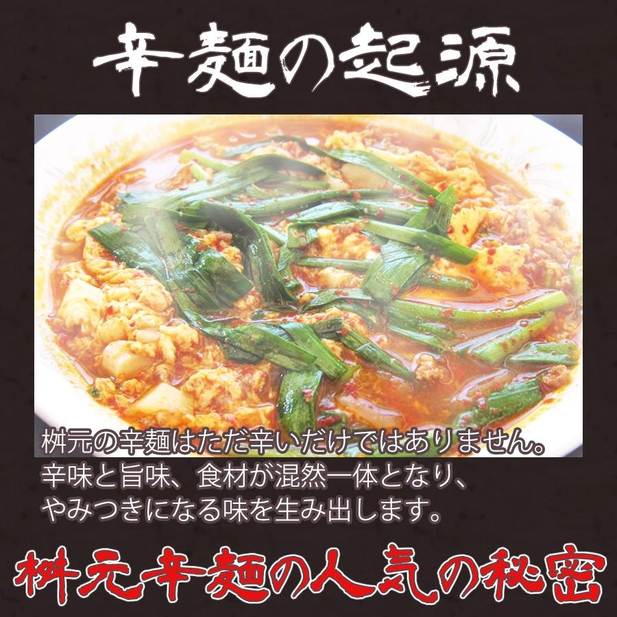 辛麺 10食セット (黒／小辛) 具材入 こんにゃく麺 九州 宮崎 辛麺屋 桝元 送料無料