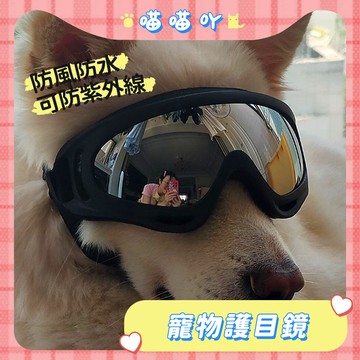 墨鏡 狗狗護目鏡 寵物護目鏡 寵物眼鏡 狗狗太陽鏡 狗狗護目鏡 防水防風防曬 防紫外線 保護狗狗眼睛 寵物用品 護目神器