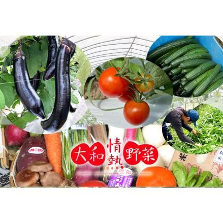 ふるさと納税 大和情熱野菜の玉手箱／旬の野菜セット／季節の野菜 奈良県広陵町