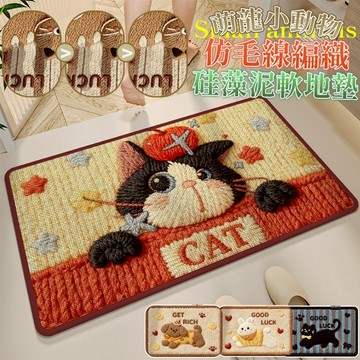 【現貨】硅藻土地墊 地墊 仿毛線編織硅藻土軟地墊 40x60cm 50x80cm 腳踏墊 防滑地墊 浴室地墊 興雲網購