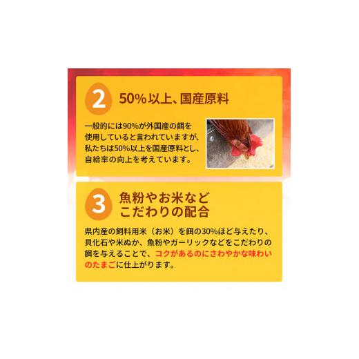 ふるさと納税 岐阜県 池田町 卵 わずか4%の希少な純国産鶏 いけだの森たまご 30個 こだわり おこめのたまご 玉子 鶏卵 生卵 産地直送 冷蔵配…