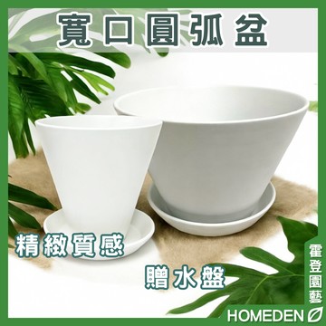 【隔日到貨】極簡風大圓弧盆 陶瓷花盆 花器 蘭花盆 多肉花盆 仙人掌花盆 居家 辦公室 盆栽【HOMEDEN霍登園藝】