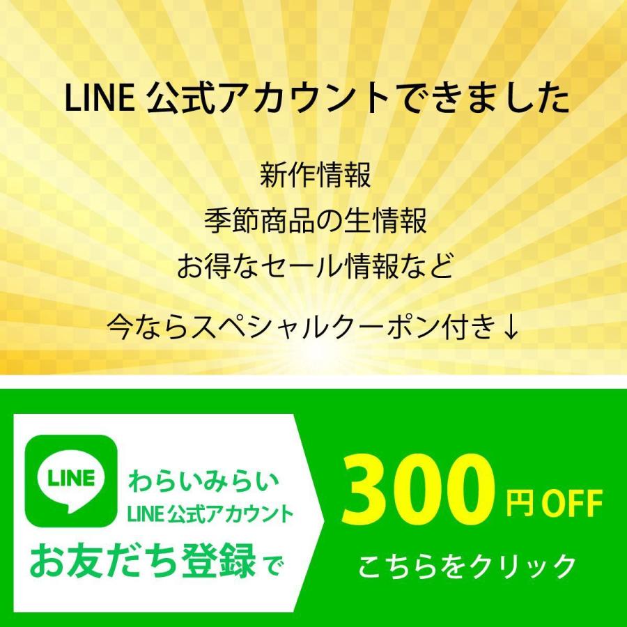 干し柿 市田柿 ドライフルーツ 送料無料 500g 自宅用 家庭用 干柿 ほし柿 4袋セット