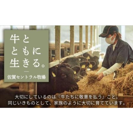 ふるさと納税 佐賀県産和牛 サーロインステーキ 1kg（約200g×5枚）[IAH169] 佐賀県白石町