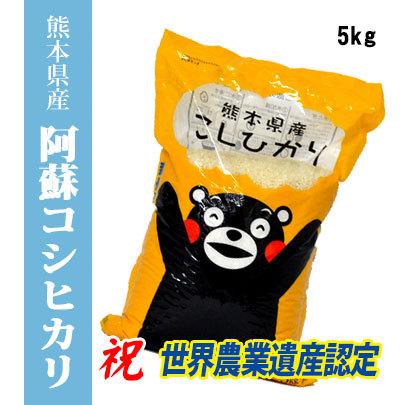 くまモン令和４年　熊本県阿蘇産コシヒカリ　白米5kg　 送料無料米 お米 コメ九州産