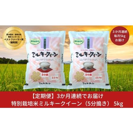 ふるさと納税 定期便 3か月 ミルキークイーン 特別栽培米 5分搗き 計15kg (5kg×3個) ミルキークイーン 精米 お米 ミルキークイーン【定期便.. 新潟県三条市