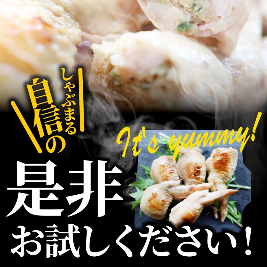 手羽先 餃子 20本入り （500g×2） ギョウザ ギョーザ レンジ調理 中華 点心 中華料理 惣菜 温めるだけ 冷凍 惣菜 お弁当 あすつく 業務用 簡単調理 送料無料