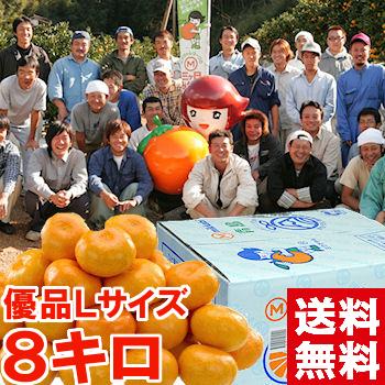 静岡県産 三ケ日みかん（青島）優品Lサイズ 8kg