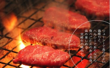 宮崎牛 霜降りと赤身焼肉セット 900g 