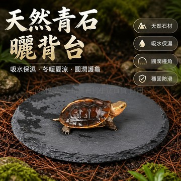 台灣出貨✨ 天然岩石板餐盤 圓形方形長方型石板 創意歐式壽司盤 水果點心托盤 西餐牛排石頭盤 餐廳家用擺盤 多種尺寸選擇