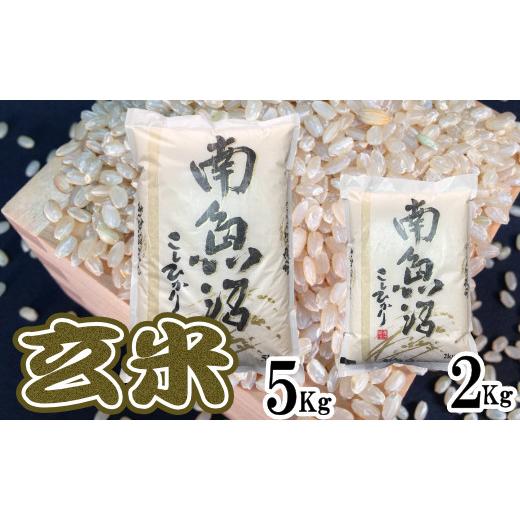 ふるさと納税 新潟県 南魚沼市 玄米 生産者限定 南魚沼しおざわ産コシヒカリ2Kg