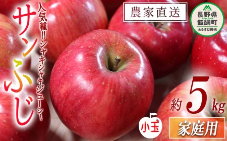 りんご サンふじ 家庭用 小玉 5kg 渡辺農園 沖縄県への配送不可 2023年12月中旬頃から2024年1月中旬頃まで順次発送予定 令和5年度収穫分 エコファーマー認定 減農薬栽培 長野県 飯綱町 [0803]