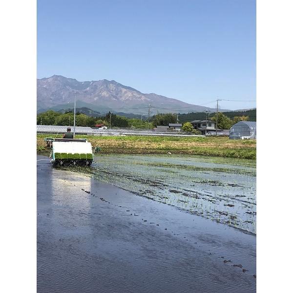 R5年産 ゆうだい21 玄米 5kg 栃木県産