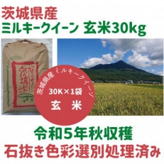 令和5年茨城県産ミルキークイーン玄米30kg　石抜き・黒はん点米・籾粒除去処理済