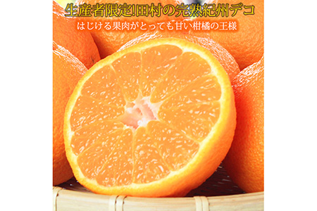 高級ブランド田村の完熟紀州デコ(不知火) ※2024年2月下旬頃～3月下旬頃に順次発送予定