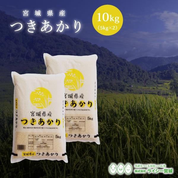 新米 米 10kg つきあかり 宮城県産 米10kg お米 白米 令和5年産 送料無料 5kg×2袋セット