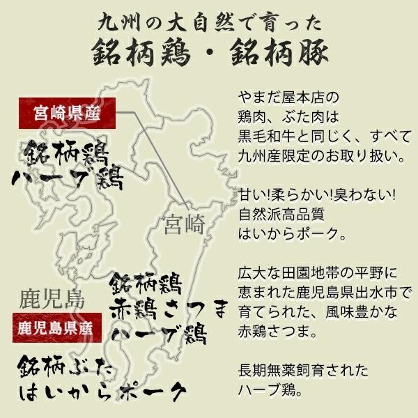 鹿児島県産 銘柄豚 肩ロース 豚ステーキ 100g×10枚 はいからポーク 豚肉   トンテキ ギフト 国産豚