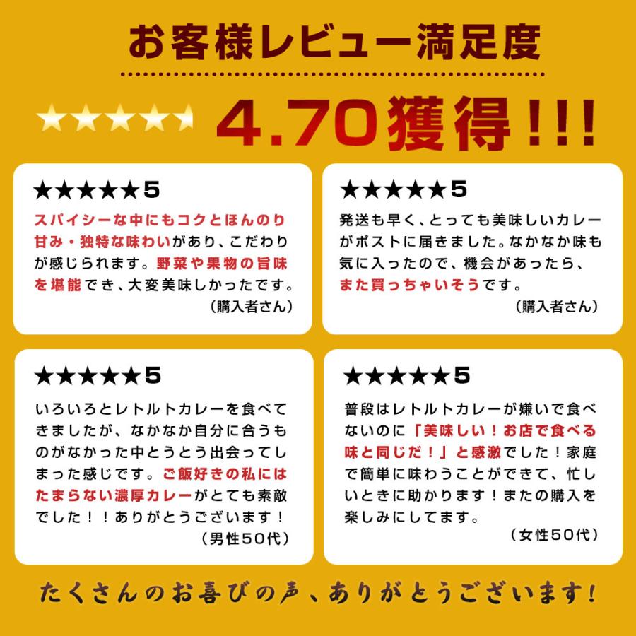 レトルトカレー ゴーゴーカレー 選べる 10食 セット カレー レトルト レトルト食品 お取り寄せグルメ お取り寄せ