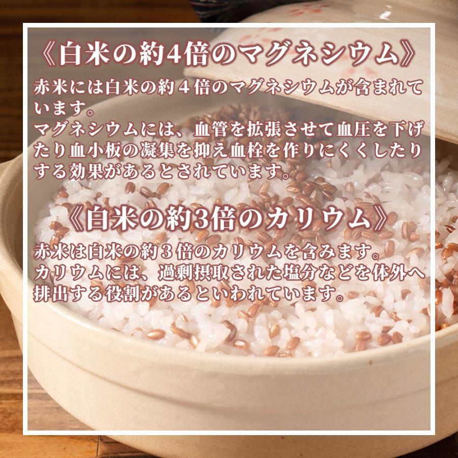 セール 国産 赤米 900g(450g×2袋) 新米 令和4年産 古代米 雑穀 雑穀米 ダイエット 置き換え 食品 送料無料