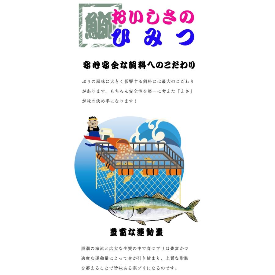 冷凍 寒ブリ切身 厚切 8切 ぶり 鰤 照焼き 塩焼き 在宅 在宅応援 お歳暮 ギフト