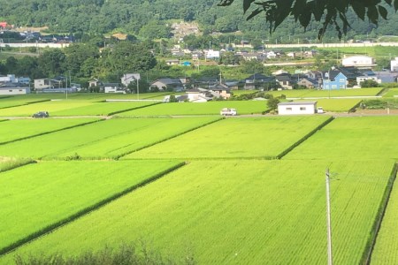 出生体重米 おいしい お米 コシヒカリ 精米 ギフト プレゼント 贈り物 お祝い   IMAFUKU RICE FARM   山梨県 韮崎市