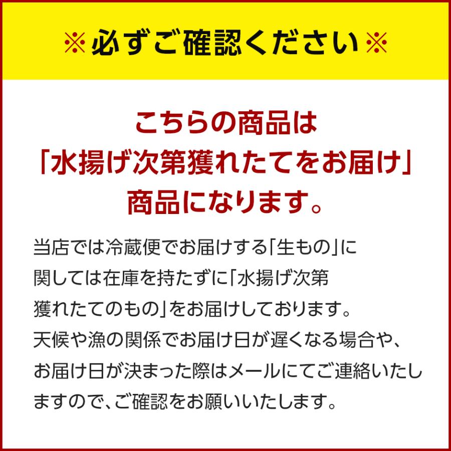 あわび アワビ 貝 活 礼文・利尻島産 活エゾアワビ L〜LLサイズ 900g 9〜12個 北海道  お取り寄せ ギフト