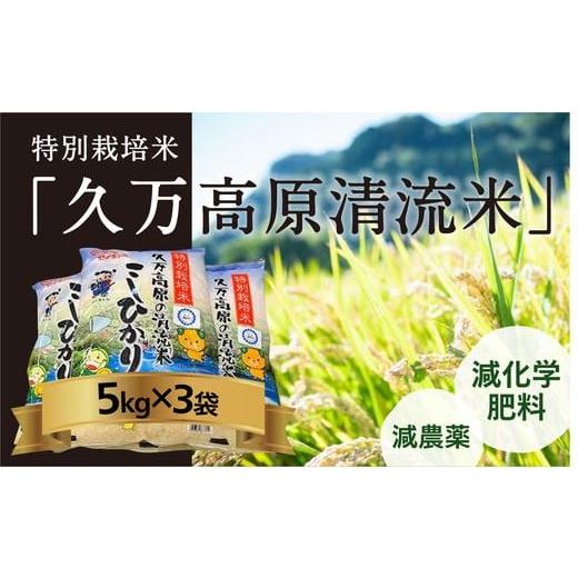 ふるさと納税 愛媛県 久万高原町 特別栽培米「久万高原清流米」令和5年コシヒカリ(5kg)×3袋セット