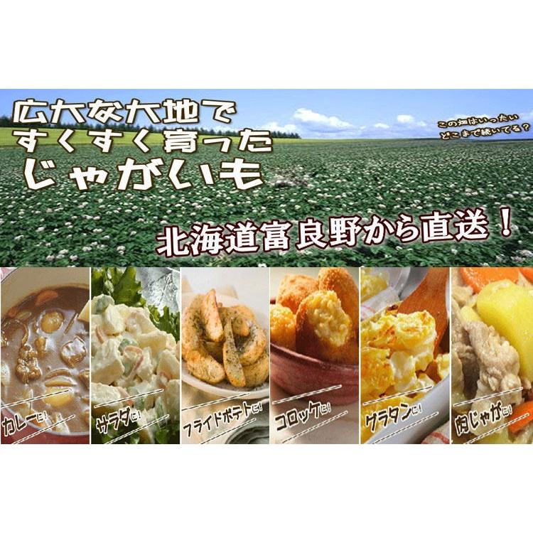 じゃがいも 北海道 富良野産 男爵 1kg ポイント 消化 送料無料