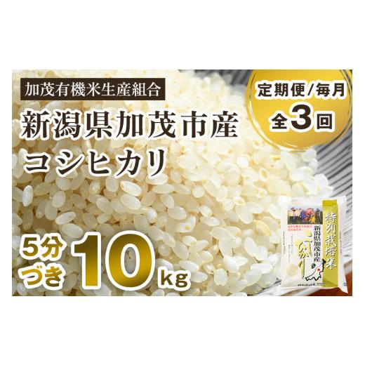 ふるさと納税 新潟県 加茂市 新潟県加茂市産 特別栽培米コシヒカリ 精米 10kg（5kg×2） 従来品種コシヒカリ 加茂有機米…