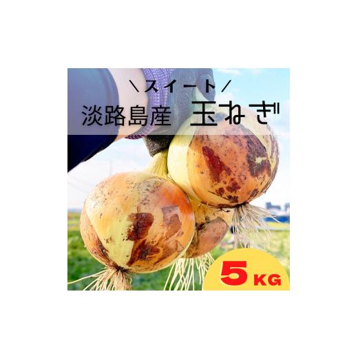 ふるさと納税 兵庫県 南あわじ市 淡路島スイートオニオン 淡路島産玉ねぎ 5kg