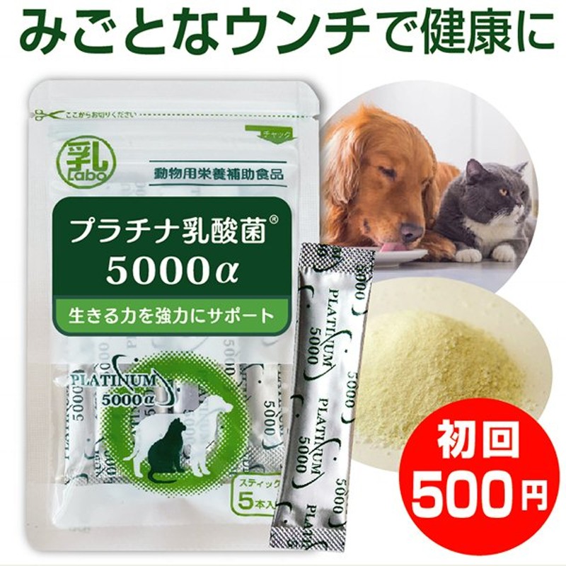 犬 猫 乳酸菌サプリ プラチナ乳酸菌5000a 顆粒タイプ１袋スティック5包入初回お試し ペットサプリ 国産 犬用 猫用 便秘 免疫力 整腸 サプリメント 通販 Lineポイント最大0 5 Get Lineショッピング