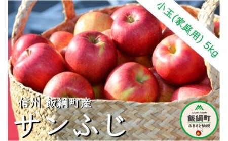 りんご サンふじ 家庭用 小玉 5kg 松橋りんご園 沖縄県への配送不可 2024年1月上旬頃から2024年4月上旬頃まで順次発送予定 令和5年度収穫分 フルーツ リンゴ 信州 長野県 飯綱町 [0629]