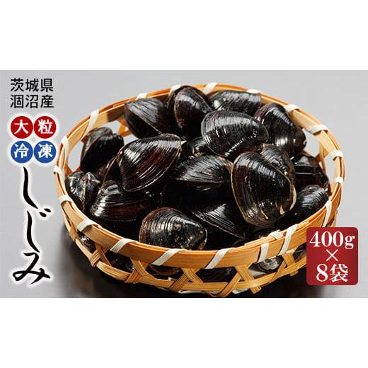 ふるさと納税 茨城県 大洗町 涸沼産 大粒 冷凍 シジミ 3.2kg （400ｇ×8袋） しじみ 蜆 大和しじみ ヤマトシジミ 大玉 砂抜き済 冷凍 味噌汁 スープ 魚貝類 貝…