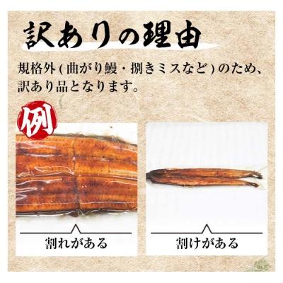 ふるさと納税 いちき串木野市 鹿児島県産うなぎ蒲焼3尾(約400g)個別真空パックでお届け