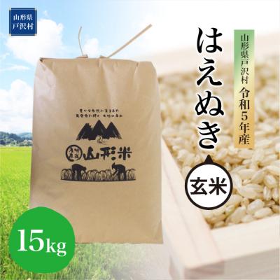 ふるさと納税 戸沢村 令和5年産 はえぬき15kg　山形県 戸沢村 産